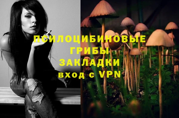 спайс Алзамай