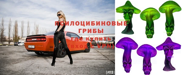 мет Алексин