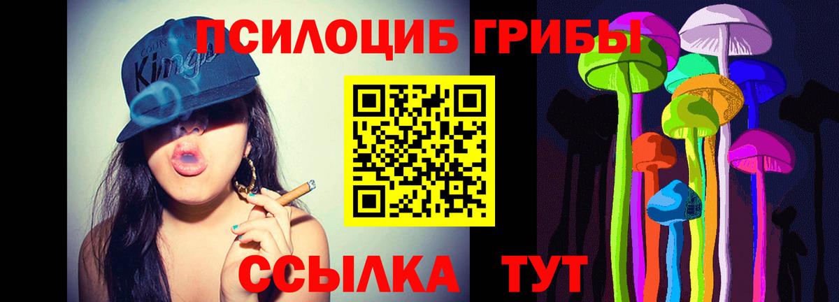 Галлюциногенные грибы Psilocybe Чайковский