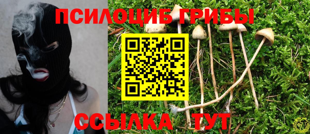 Чайковский  Галлюциногенные грибы Magic Shrooms  Вход с VPN 